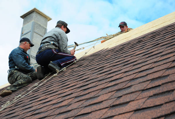 Quick and Trustworthy Emergency Roof Repair Services in Lockport, IL